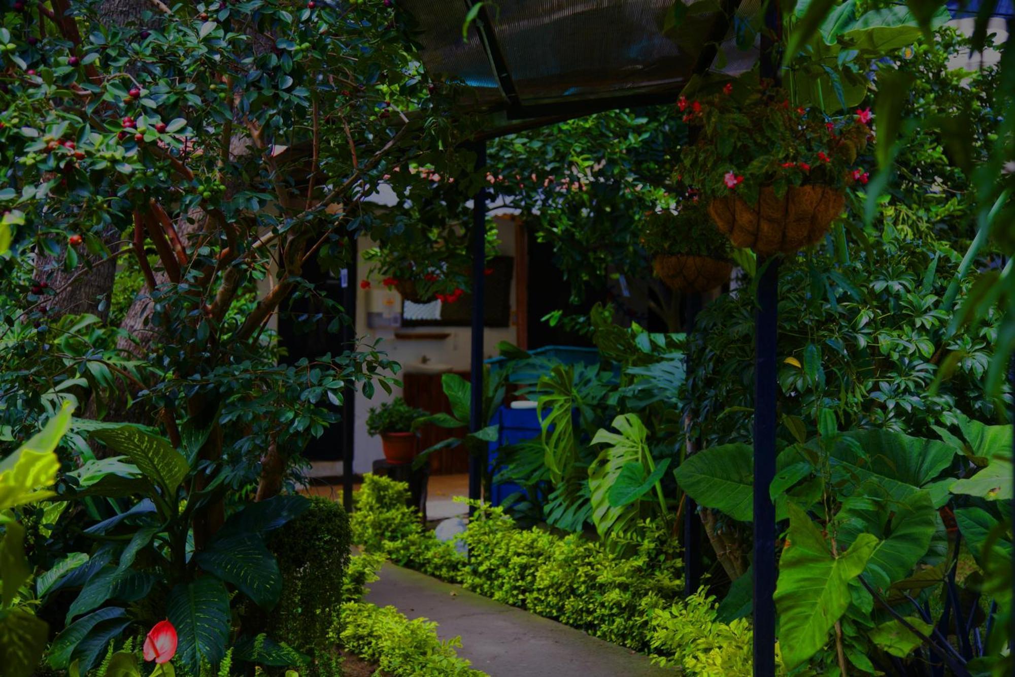 Hostal Antigueeno Antigua Exterior photo